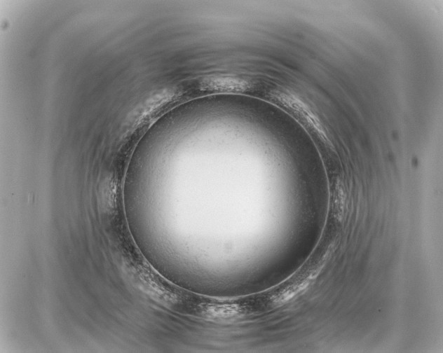 X0000087050355200704251010