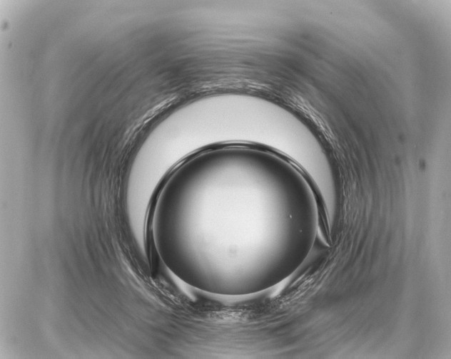 X0000087050356200704251010