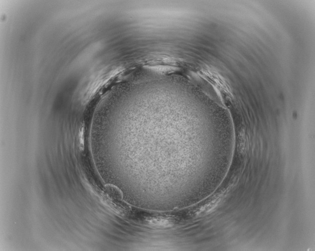 X0000087050358200704251010