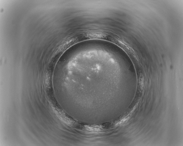 X0000087050359200704251010