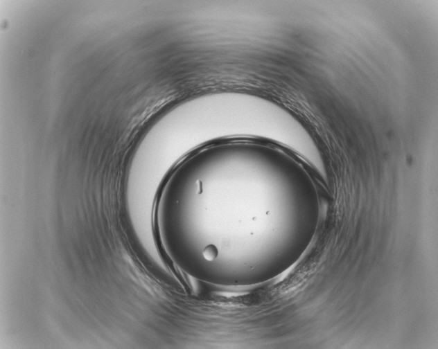 X0000087050360200704251010