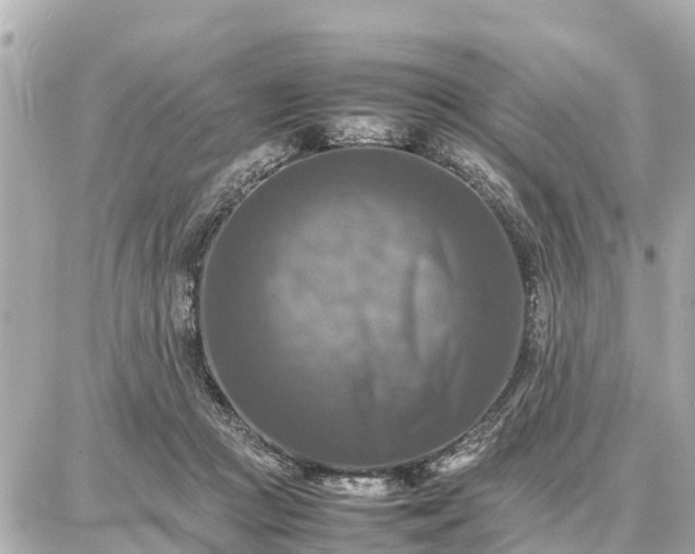 X0000087050361200704251010