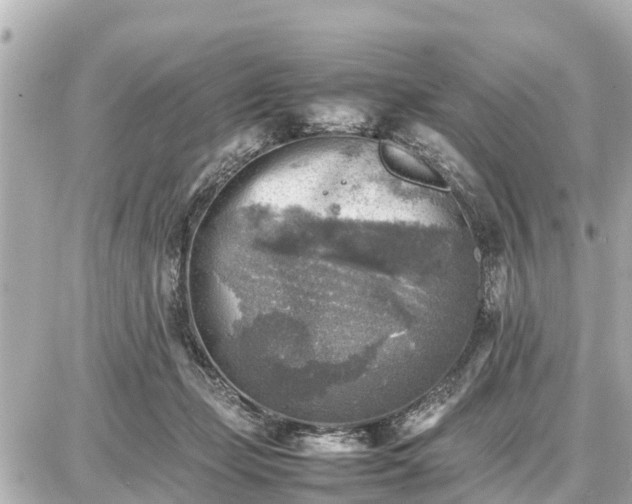 X0000087050365200704251010