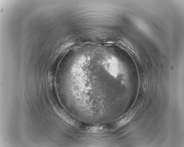 X0000087050366200704251010