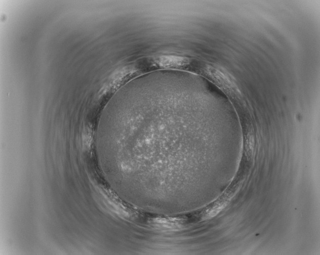 X0000087050367200704251010