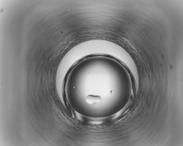 X0000087050368200704251010