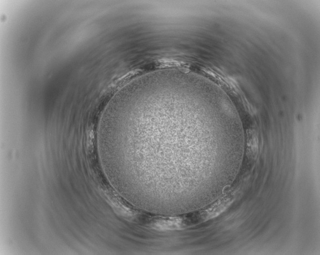 X0000087050369200704251010