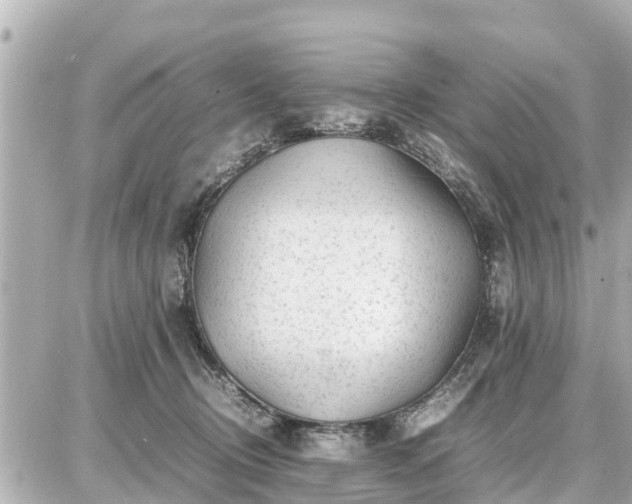 X0000087050370200704251010