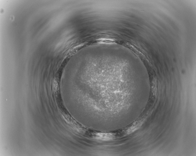 X0000087050371200704251010