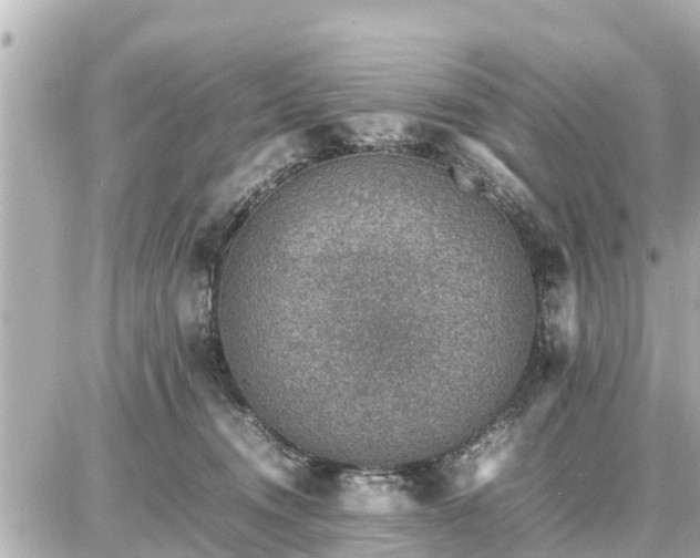 X0000087050372200704251010