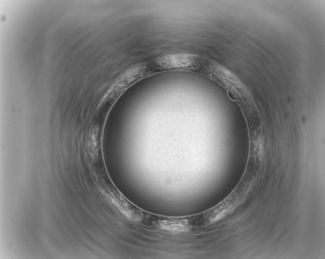 X0000087050373200704251010