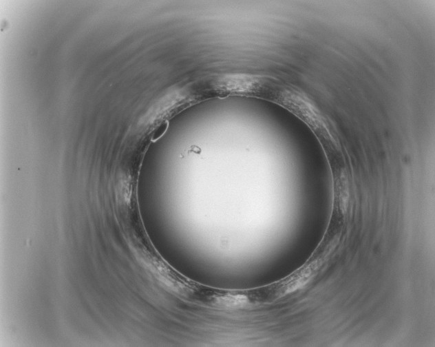 X0000087050374200704251010