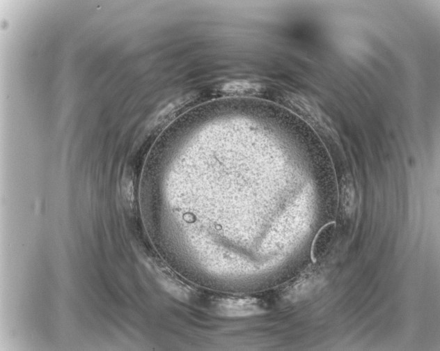 X0000087050375200704251010