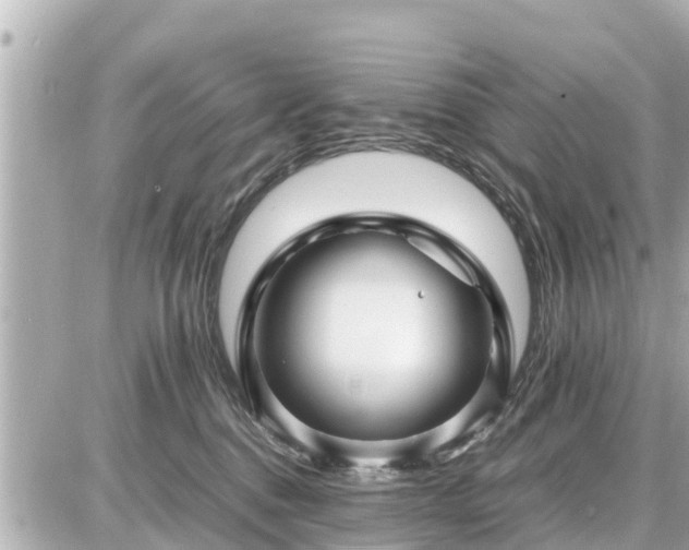 X0000087050376200704251010