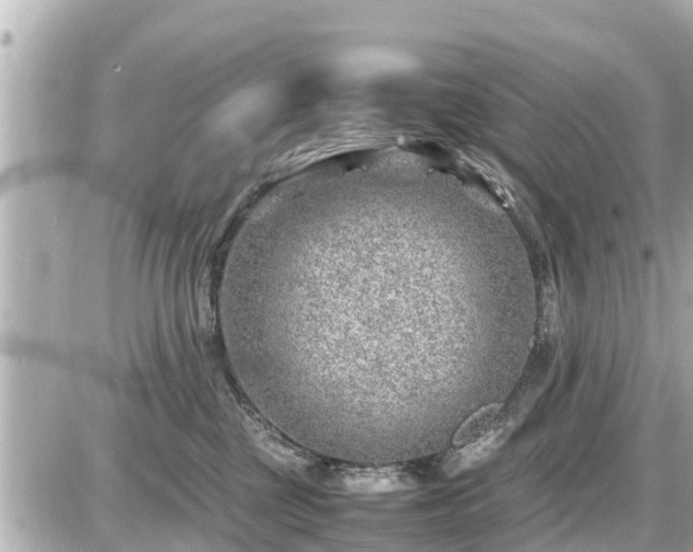 X0000087050377200704251010