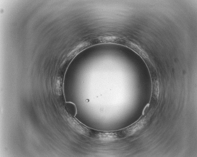 X0000087050378200704251010