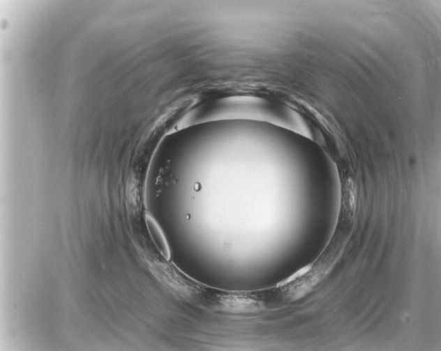 X0000087050380200704251010