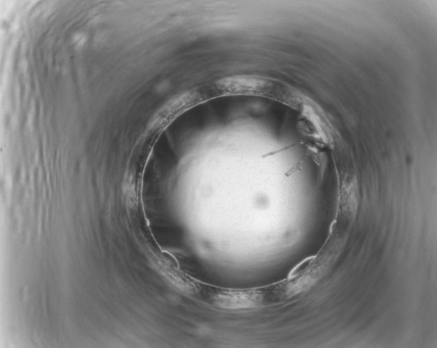 X0000087050381200704251010