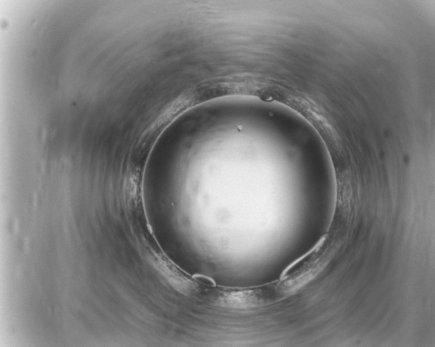 X0000087050382200704251010