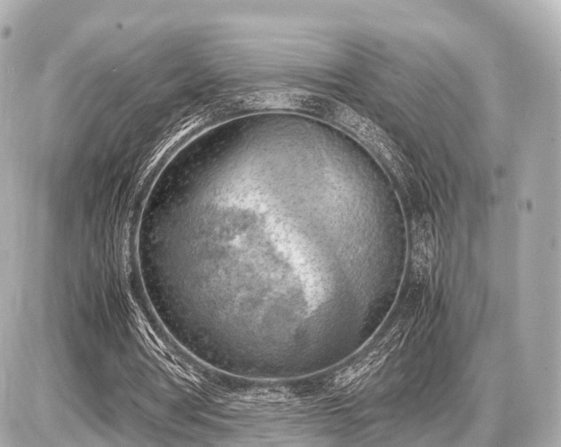 X0000087050386200704251009