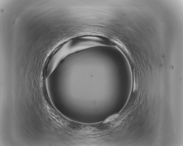 X0000087050387200704251009