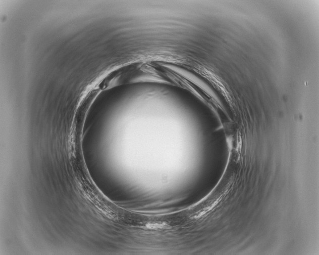 X0000087050388200704251009