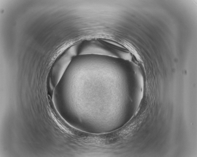 X0000087050389200704251009