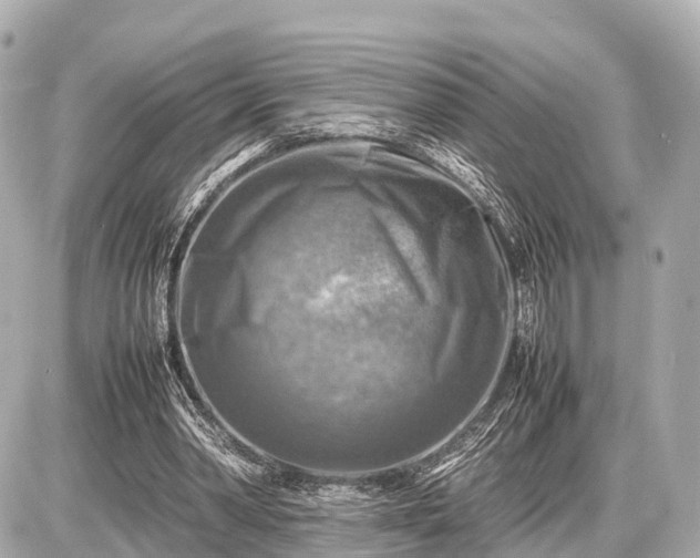 X0000087050390200704251009