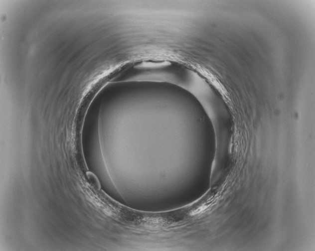 X0000087050391200704251009