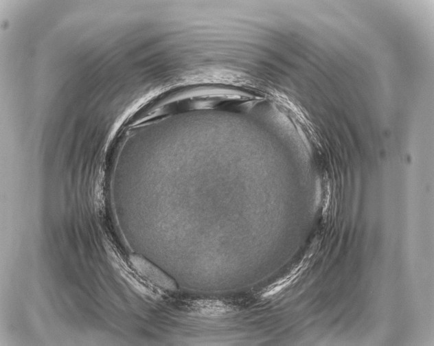 X0000087050392200704251009