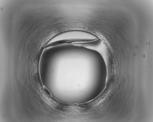 X0000087050393200704251009