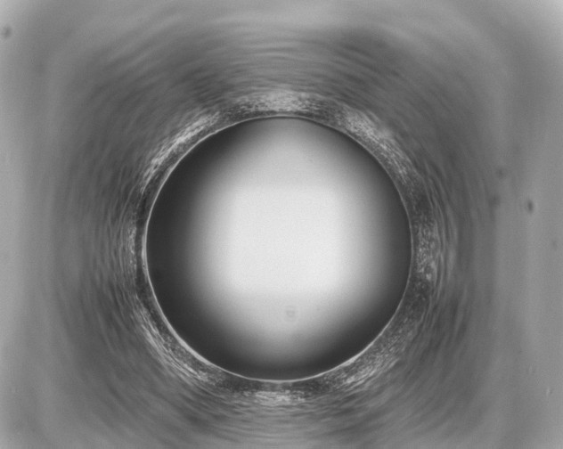 X0000087050394200704251009