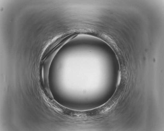 X0000087050395200704251009