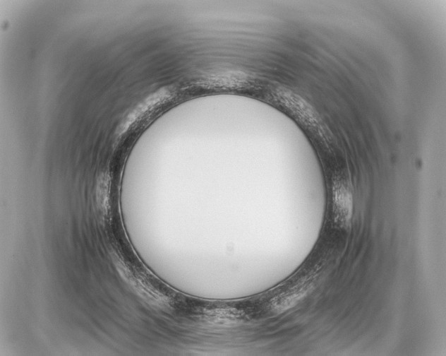 X0000087050396200704251009