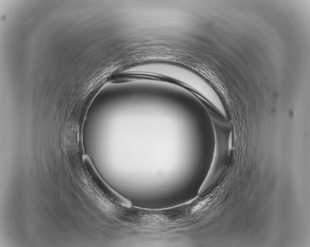 X0000087050397200704251009