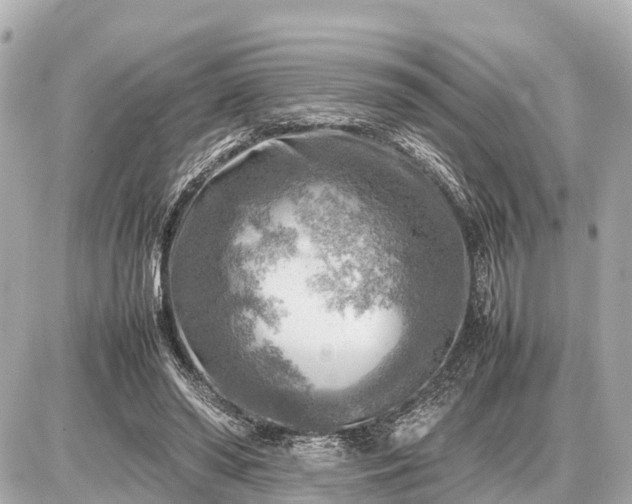 X0000087050398200704251009