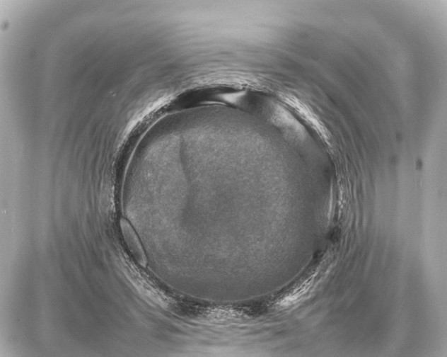 X0000087050399200704251009