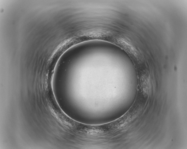 X0000087050400200704251009