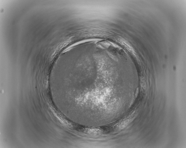 X0000087050401200704251009