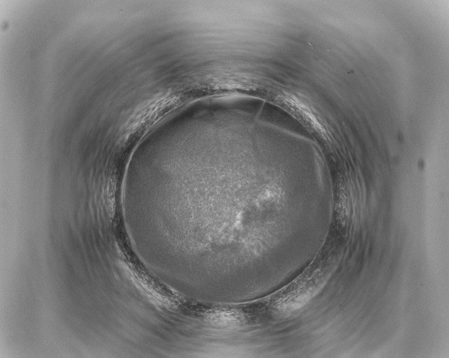 X0000087050402200704251009