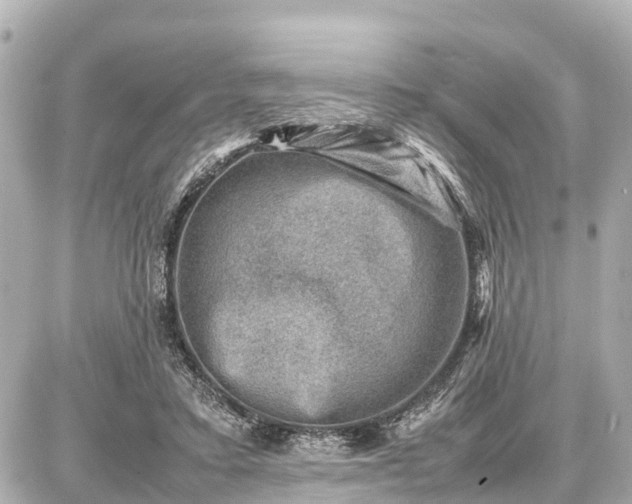 X0000087050403200704251009