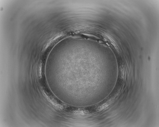 X0000087050404200704251009