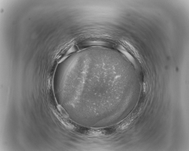 X0000087050405200704251009