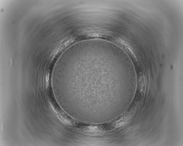 X0000087050406200704251009