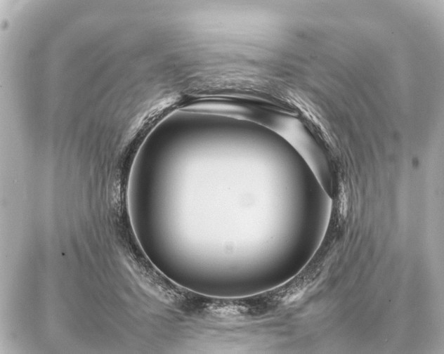 X0000087050407200704251009