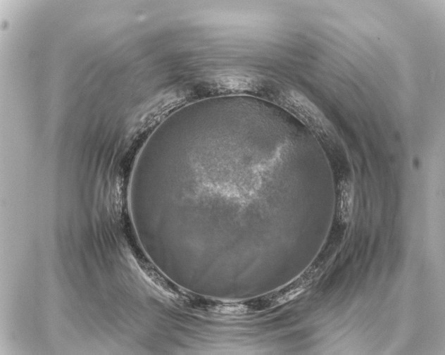 X0000087050410200704251009