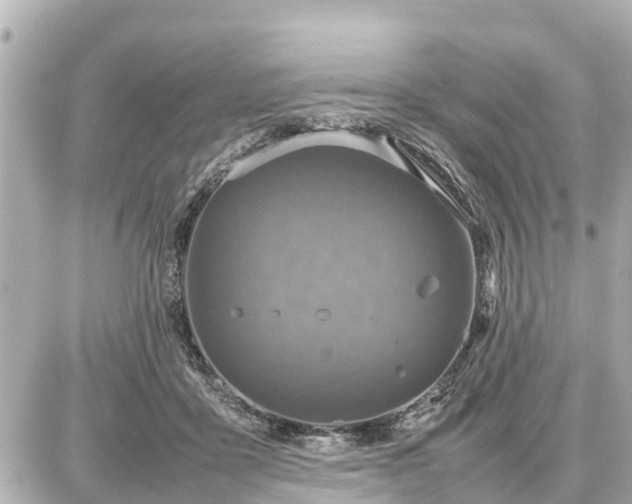 X0000087050411200704251009