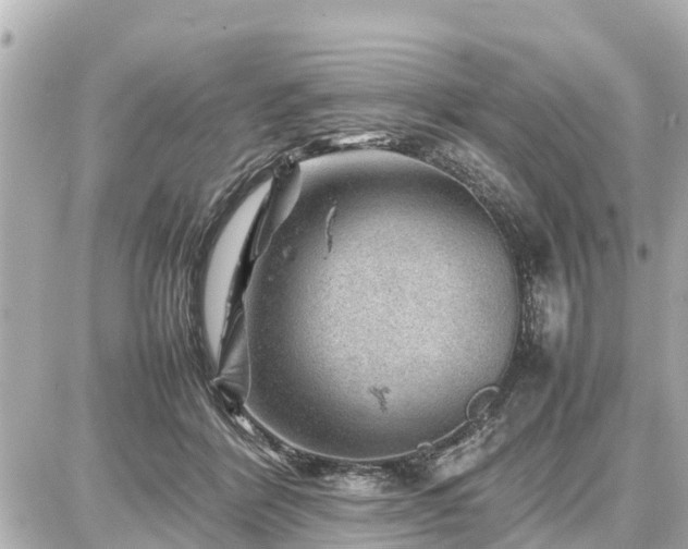 X0000087050412200704251009