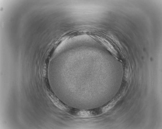 X0000087050413200704251009