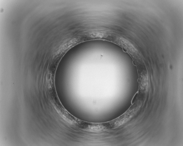 X0000087050414200704251009